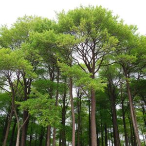 eco_tourism_in_sa__can_travel_really_help_conservation_