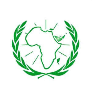 The_African_Union_Is_It_Working